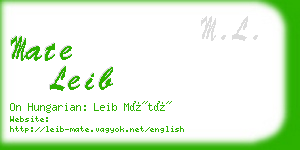 mate leib business card